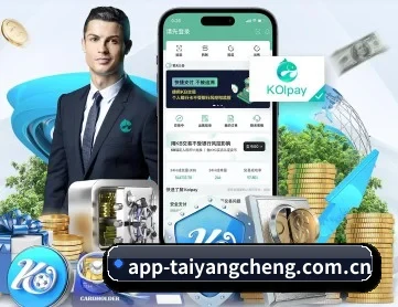 太阳城网站 APP 深度功能